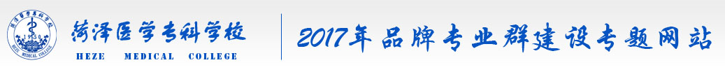 2017年品牌专业群建设专题网站